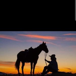 Meet your Posher, Tommy